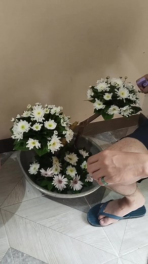 12 reactions · 13 comments | Jane Labra on Reels | Facebook