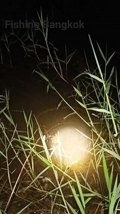 4K views · 18 reactions | #fishing hook | Fishing Bangkok | Facebook