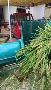 185K views · 680 reactions | big feeding mouth multipurpose thresher ,fit for threshing rice 、wheat、millet、sorghum,etc #ricethresher #paddythresher #multipurposethresher #forsale | Mini Rice Mill Machine | Facebook