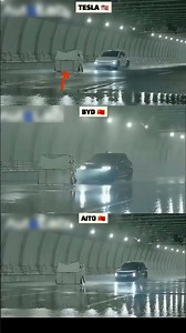 Tesla vs BYD vs AITO: Extreme AEB Test! Who Wins?