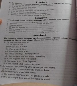 Exercise 4In the following sentences, underline the noun claus... | Filo