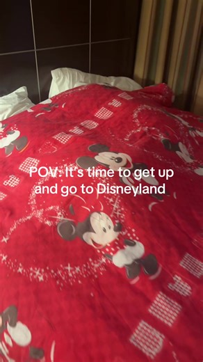 Had an amazing trip to CA to go to Disneyland #experiences #disneyland #family #sil