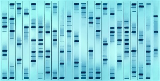 Introducing the Remarkable Genetic Code