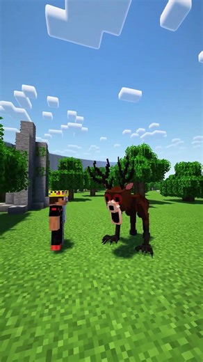 Rage Moment in 99 Night in Forest