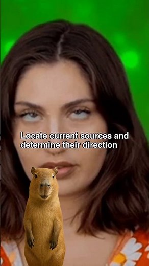 Learning Circuit Analysis From Scratch