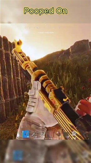 Pooped On - Rust Console