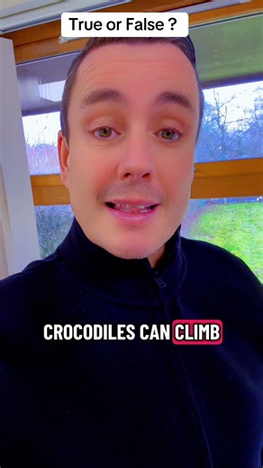 Can crocodiles climb trees ? Fact or Fib ?