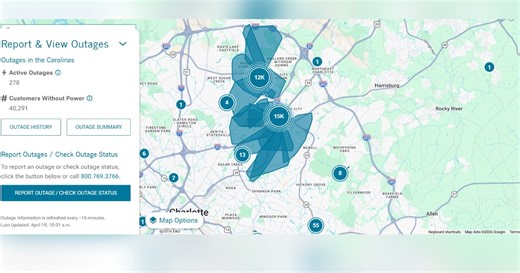 Power restored after fallen tree leaves 28K without in University City