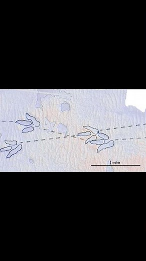 Unusual dinosaur tracks in Scotland reveal an ancient watering hole
