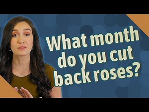 What month do you cut back roses?