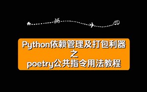 3.2 poetry公共指令用法