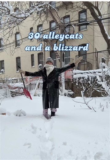 Caring for Feral Cats in a Blizzard