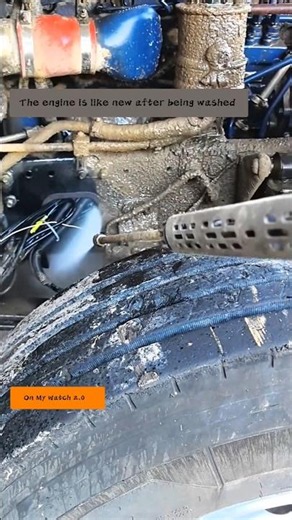 Pressure Washing Filthy Truck Engine