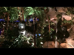 RainForest Cafe Gorillas Disney Springs