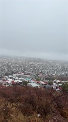 Codigo 13 Parral on Reels