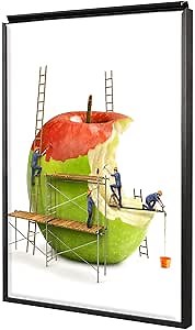 Amazon.com - 18x24 Poster Frames, Plexiglass, Black Aluminum Snap Frame, Front-loading Frame for Wall (Black, 2pcs)