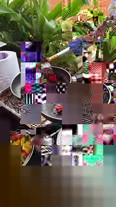 Luxury Buffet with Unlimited Beer Cocktail Starting at 1200 in Bangalore | Thefoodiebae