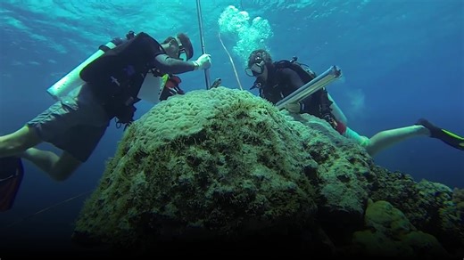 400-Year Record: Great Barrier Reef In Peril