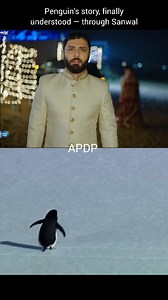 Same walk front and back view 💔💔 Sanwal ke liye dukh hi kam nahi ho raha aur is waja se yeh penguin ki story bhi samjh agai ab to 😅 #SanwalYaarPiyaa #ahmedaliakbar | All Pakistan Drama Page