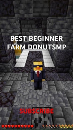 The BEST Beginner Farm on DonutSMP 🍩