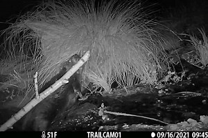The Nature Conservancy in California on Reels