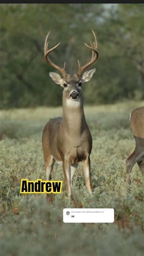 Your name your buck #countrymusic #deer #jesus #hunting #deerseason