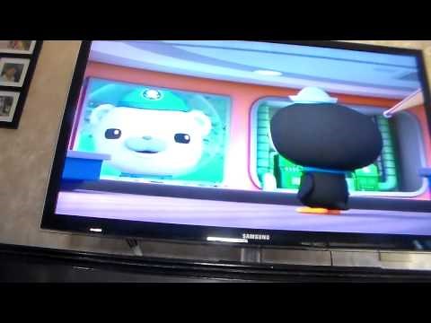the octonauts and the pelicans
