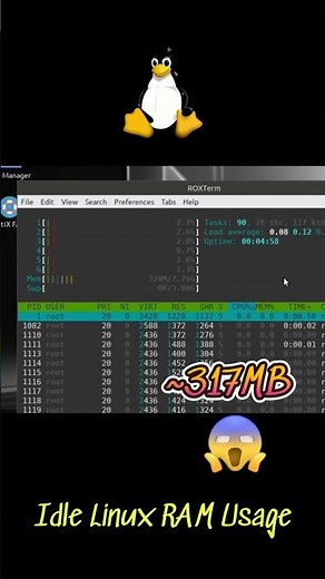 Idle RAM Usage on Linux #linux #linuxvswindows