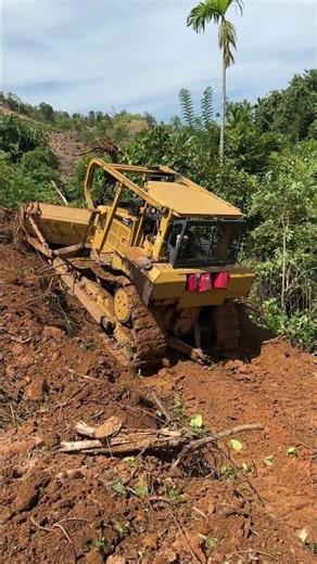 Palm Terrace Opening Project Using D6R XL Bulldozer