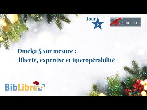 Omeka S sur mesure : comment créer une bibliothèque numérique unique