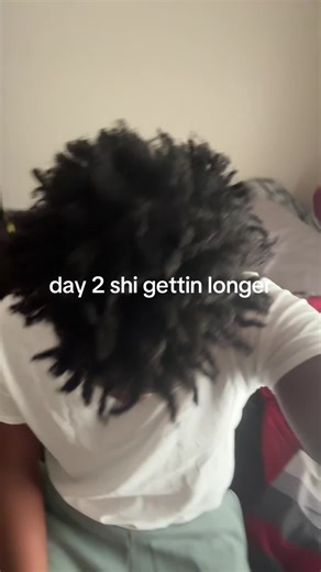 Freeform Dreads Journey: Day 2 Progress