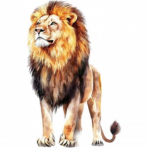 5x Car Stickers Lion Watercolor Colorful (multipack) – Waterproof for Car & Wall | Animal Wall Decal | Sticker Set | Lion Head Gift - Etsy