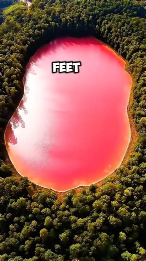 This Lake Turns Blood Red 😳 #Geology #PinkLake #earthmystery