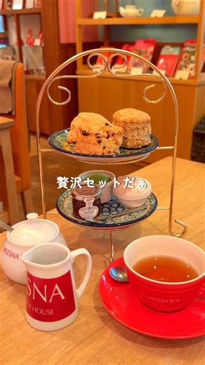 🔎 Osaka, Nishi-Umeda "MLESNA TEA Osaka"
