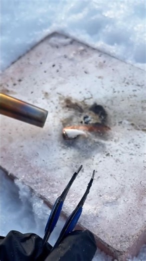 DIY Seashell Jewelry in the snow #shorts #craft #diy