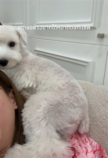 ami.woof บน TikTok