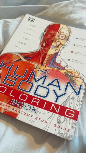 Explore the Human Body with Daily Coloring Pages