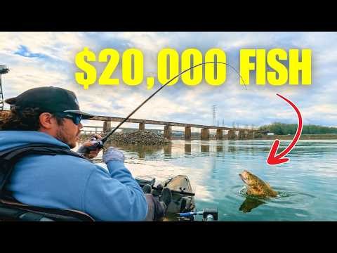 I Found BIG Bass to WIN this Kayak Championship! ($20,000 Prize)