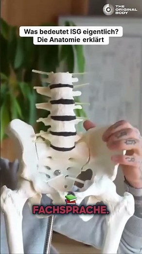Was bedeutet ISG eigentlich? Die Anatomie erklärt