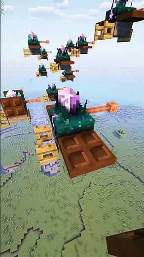Animated Brids | Minecraft #minecraft
