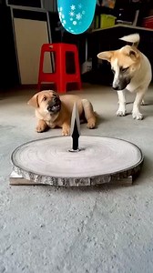 803K views · 694 reactions | This should be a condom advert  | Entebbe News | Facebook