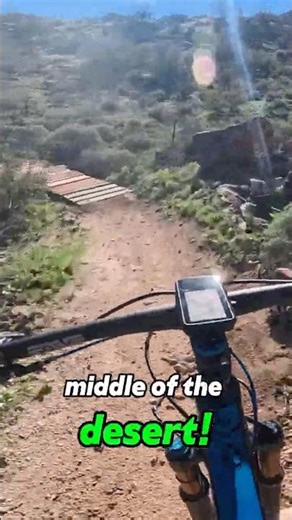 They put this in the middle of nowhere! #mtb #xcmtb