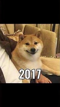 The Most Legendary Dog Memes (Then Vs Now) 😱