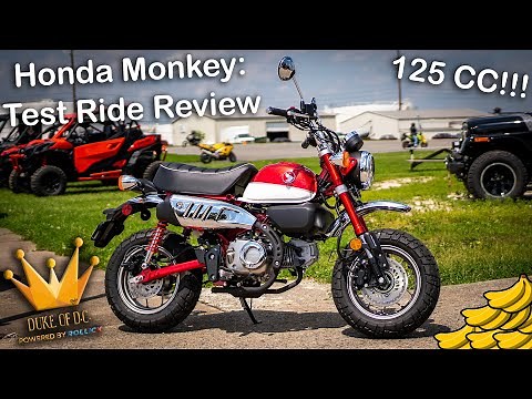 2019 Honda Monkey Test Ride Review [Scooter or Motorcycle?!]