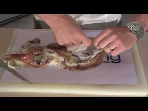 How To Clean & Prepare Cuttlefish - without bursting the Ink Sack!