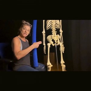 2.5K views · 21 reactions | We're putting a spotlight on pelvic...