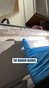 Cockroach Droppings Found Under the Dishwasher During inspections, this is a common sign of cockroach activity. Droppings under cabinets often point to hidden moisture, warmth, and nearby entry points that roaches use to move through the home. When droppings show up near a dishwasher, it usually means ongoing activity close to food and heat sources. Catching these signs early helps prevent contamination and a much larger infestation. Have you ever checked under your kitchen cabinets? #cockroachc