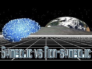 Theory #2 - Symbolic vs Non Symbolic