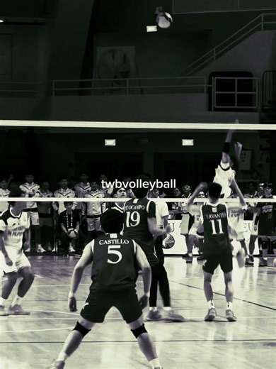 Essential Volleyball Spiking Techniques for Players