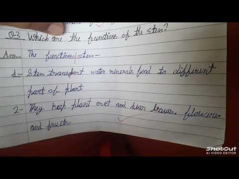 Class 4th a science chapter part 1